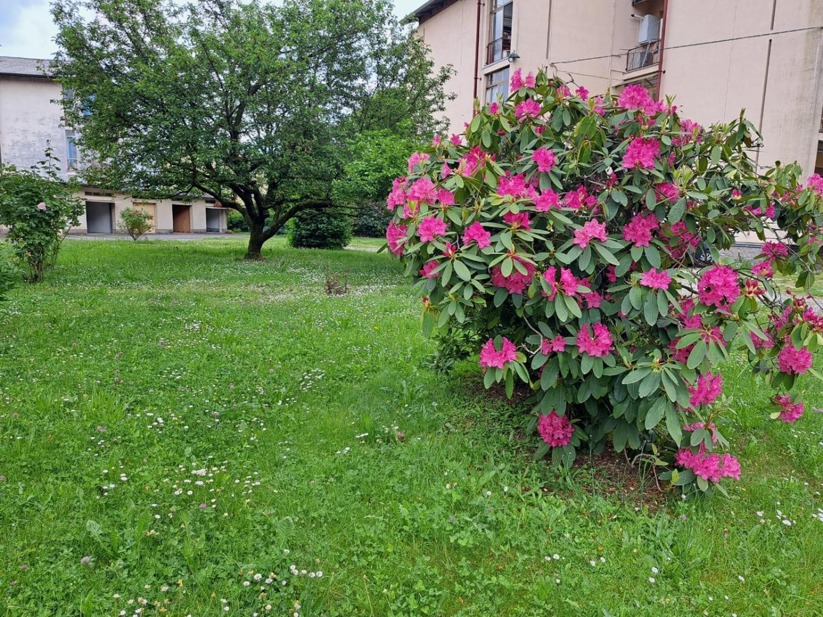Seraval Valsesia Apartment Serravalle Sesia Exterior foto